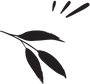 Accent Graphic